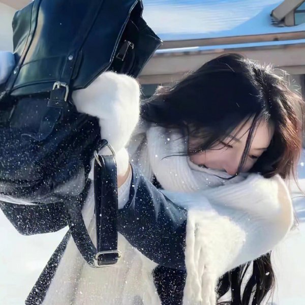 白雪丹心