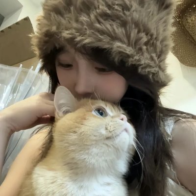 燕尾蝶